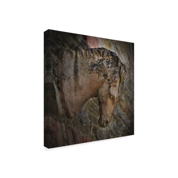 Christine Sainte-Laudy 'Majestic Stone Horse' Canvas Art,18x18